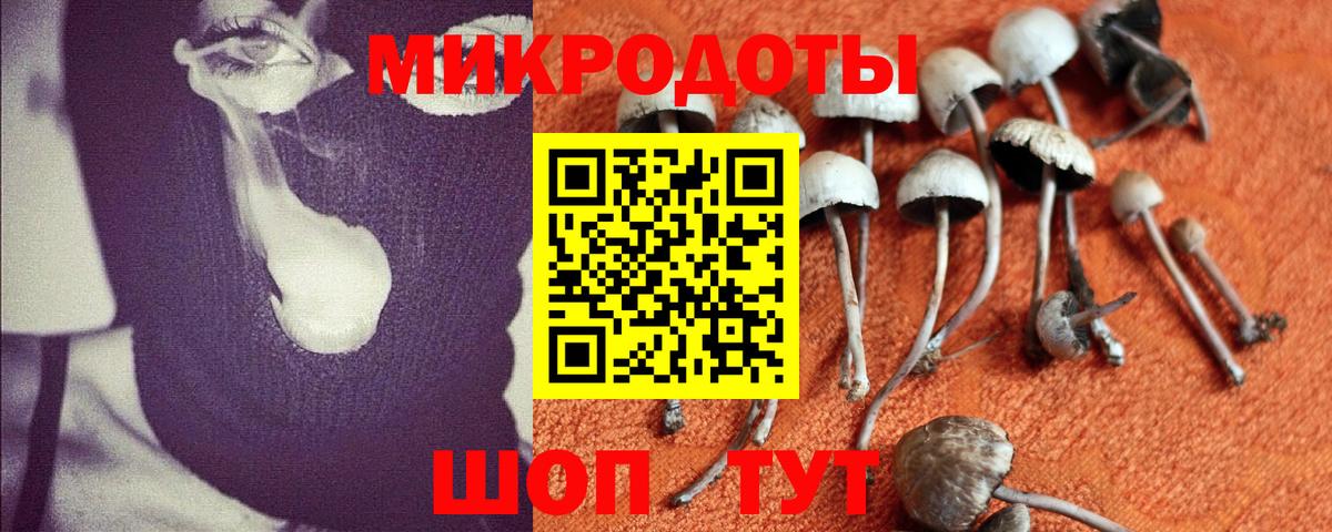 Псилоцибиновые грибы GOLDEN TEACHER  Вход с VPN  Нарткала  Псилоцибиновые грибы мухоморы 