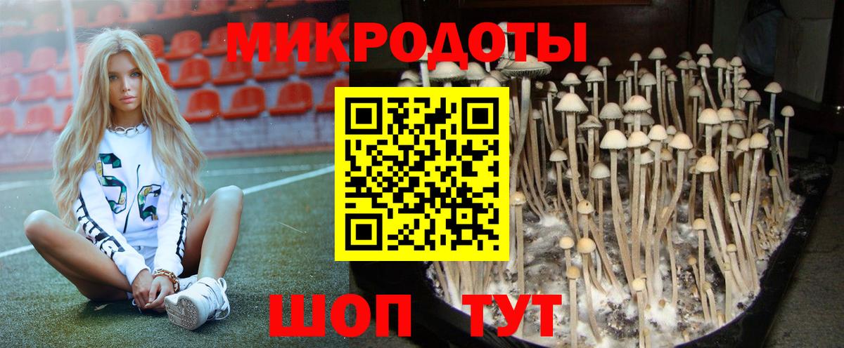 Псилоцибиновые грибы мицелий Нарткала